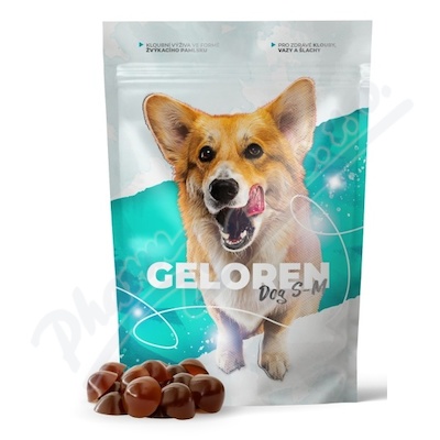 Geloren dog S-M kloubní výživa tbl.60