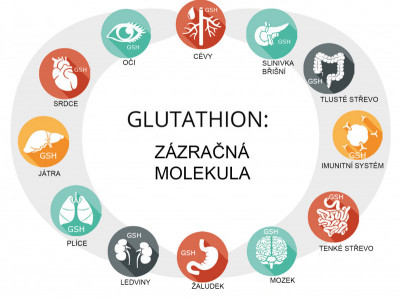 Glutathion – látka tělu vlastní a velmi důležitá, ale přitom pro většinu z nás neznámá.