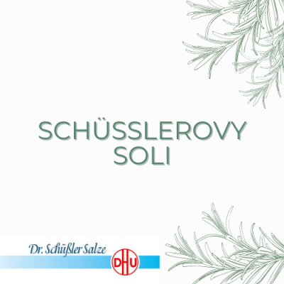 Znáte Schüsslerovy soli?